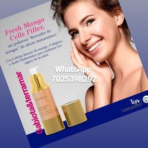 Fresh Mango Cells Fillet